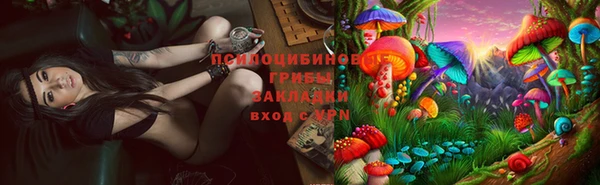мдпв Бронницы