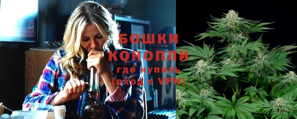 мдпв Бронницы