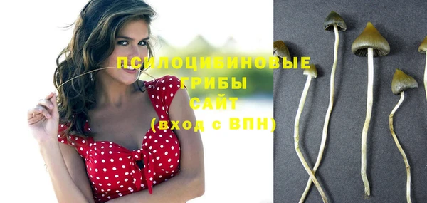 марихуана Богородицк