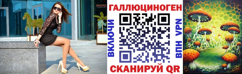 Купить закладки  Новосиль  Псилоцибиновые грибы Psilocybe 