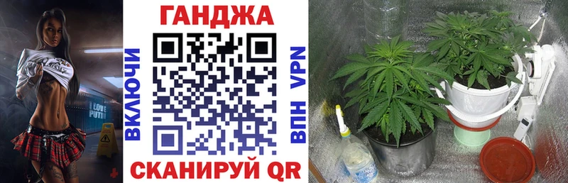 Марихуана индика  Купить закладки  Новосиль 